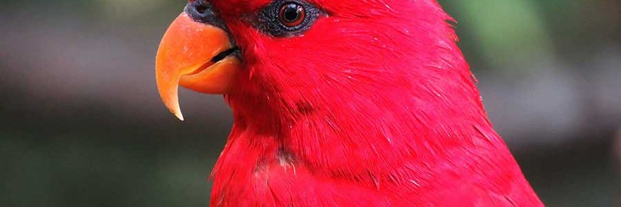 My Experience with Anxiety and Depression